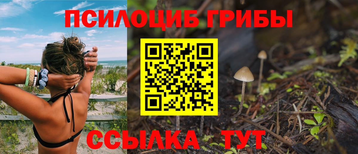 Галлюциногенные грибы GOLDEN TEACHER  Псилоцибиновые грибы мухоморы  Вход с VPN  Крымск 